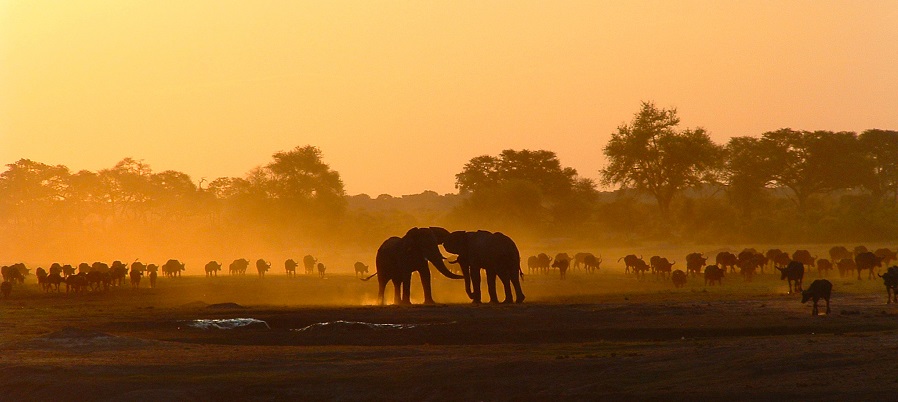 Ilala Lodge Hotel, Zimbabwe
