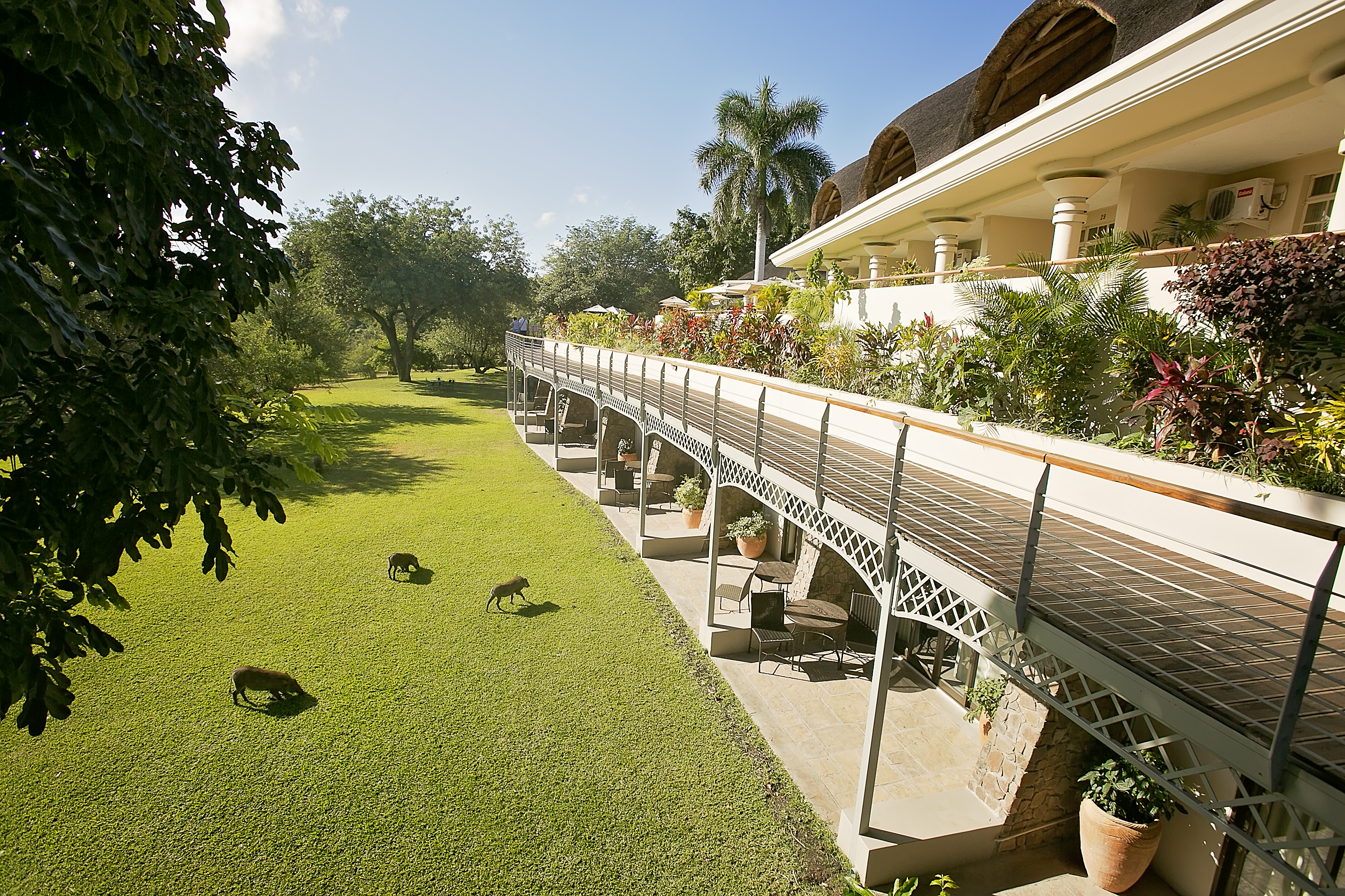Ilala Lodge Hotel Private Balcony, Victoria Falls