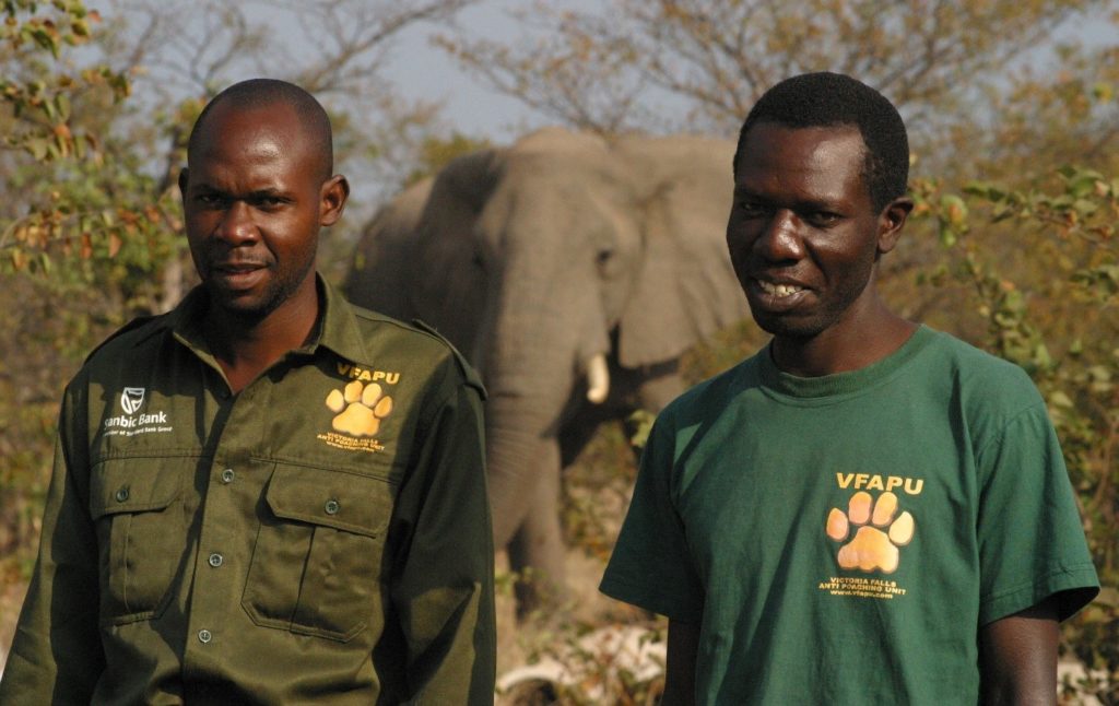 Image Credit: Ilala Lodge Victoria Falls Anti-Poaching Unit