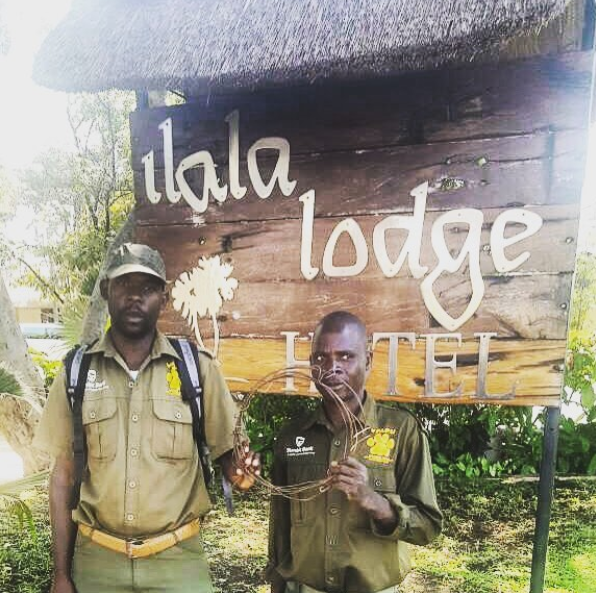 Image Credit: Ilala Lodge Poaching Victoria Falls