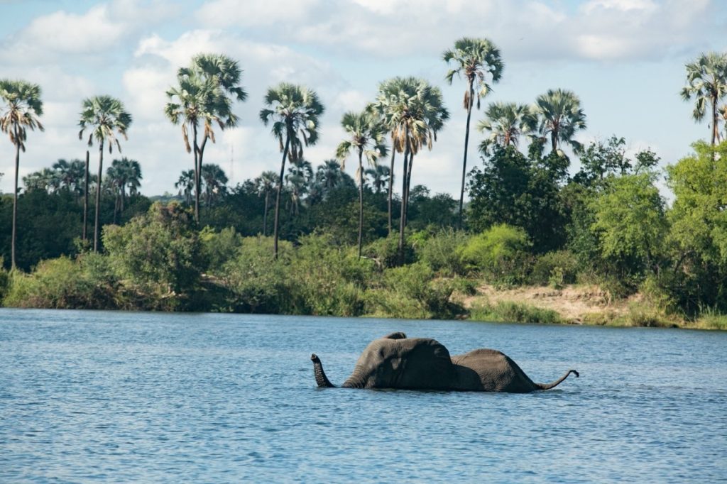 Zambezi River